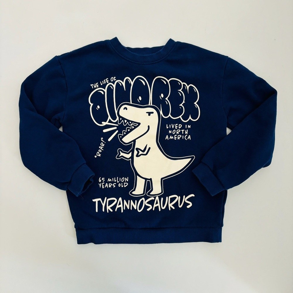 H&M T-Rex Sweatshirt